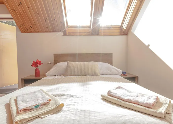 Dom Goscinny W Lesie 招待所 3*