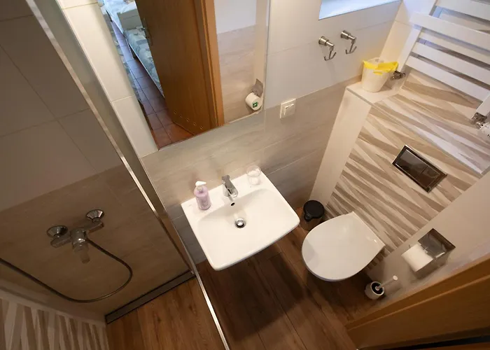 Dom Goscinny W Lesie 招待所 波别罗沃