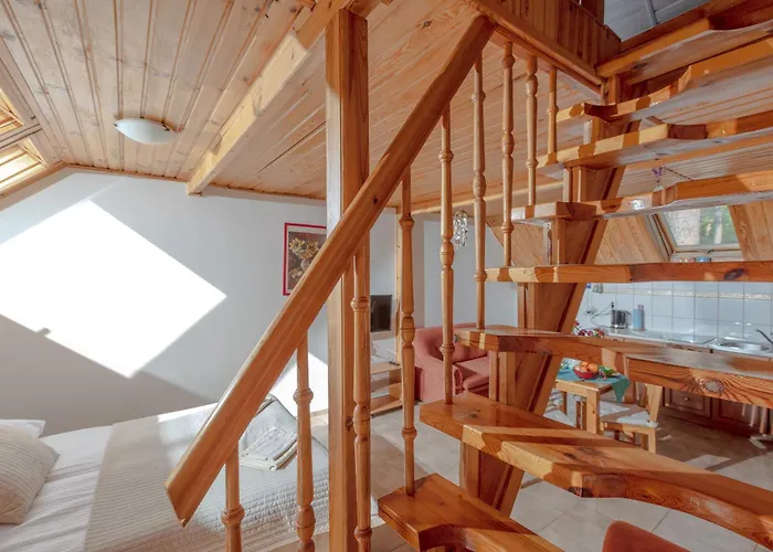 Dom Goscinny W Lesie 招待所