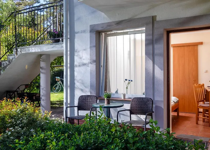 Dom Goscinny W Lesie 招待所 3*