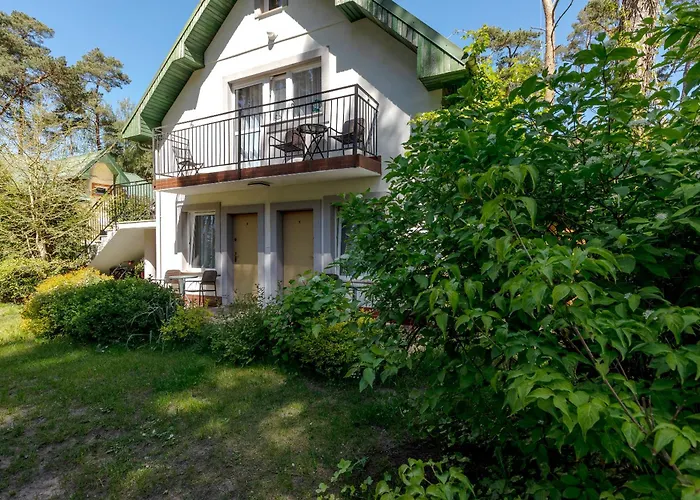 Dom Goscinny W Lesie 招待所 波别罗沃